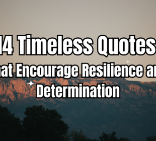 13 timeless quotes that encourage resilience and determination