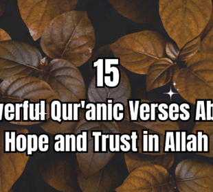 15 powerful qur'anic verses about hope and trust in allah