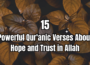 15 powerful qur'anic verses about hope and trust in allah