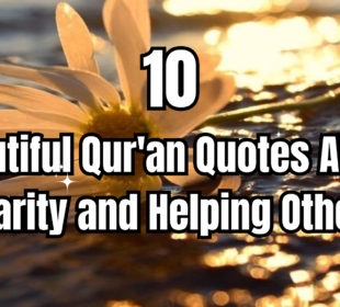 10 beautiful qur'an quotes about charity and helping others