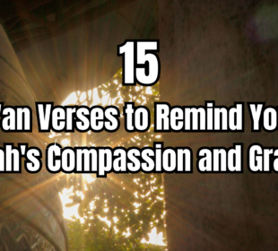 15 qur'an verses to remind you of allah's compassion and grace